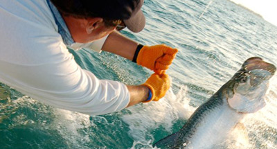 Islamorada Tarpon Fishing