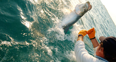 Islamorada Tarpon Fishing